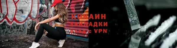 соль ск Алексин
