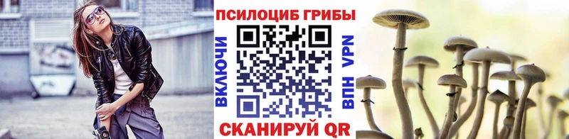 сколько стоит  Нерчинск  это Telegram  Псилоцибиновые грибы GOLDEN TEACHER 