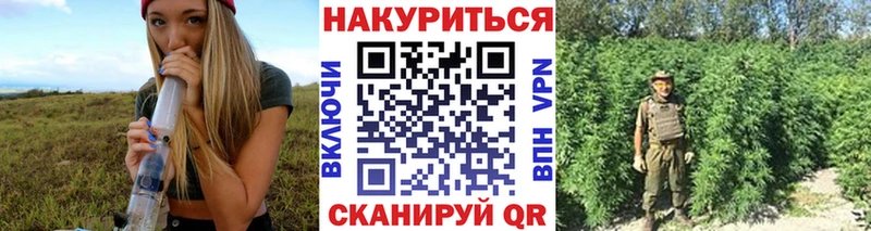Бошки марихуана White Widow  Нерчинск 